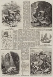 Illustrierte Geschenkbücher